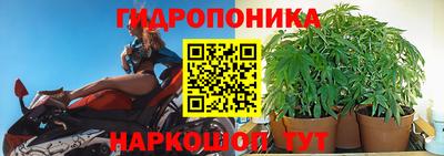 твердый Шебекино