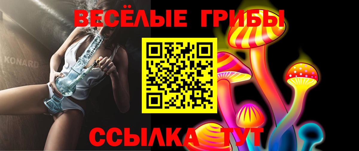 Галлюциногенные грибы GOLDEN TEACHER  Галлюциногенные грибы мицелий  Курчатов  Вход с VPN 